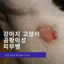 좋은 친구들 동물병원 이미지