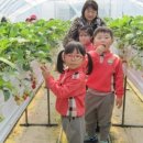 덕촌초등 병설 이미지