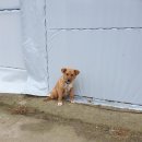 사산경로당 이미지