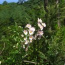 서흥농장 이미지