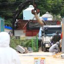 고성농장 이미지