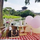 댕스피크닉 이미지