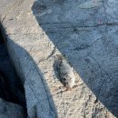 입암2리 이미지