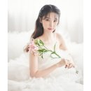 스텔라스테이