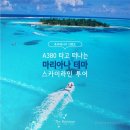 스카이라인투어