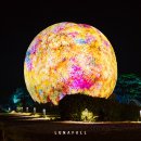 스마트폴31 | '루나폴제주' 제주에서 즐기는 이국적인 해변 감성 &amp; 포토스팟 가이드