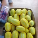 아부지농장 이미지