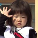 크레이지독스짐 이미지