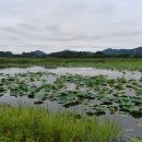 상주 공검지 이미지