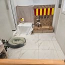 애플이네펫미장원 | 장모치와와 블랙탄치와와 여름철 이발 애플이네펫미장원 추천 및 후기