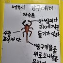 창녕우포늪가족알림이(서포터즈)5-늪배타기체험과 수서곤충 관찰 이미지