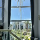 에다모니아 이미지