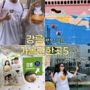 강릉대박집 | 강릉 황금오징어순대 월화거리 내돈내산 가볼만한곳5 소품샵 삶은감자까지