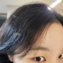 마이프랜드153