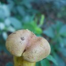 독바위역 이미지