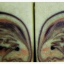 그린화장품전문점 이미지