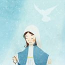 파티마의 세계 사도직, 체나콜로 마리아 사제운동에 대해 아시나요? 이미지
