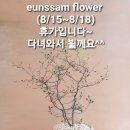 은쌤플라워