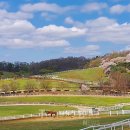 다정목장 이미지