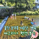 대운산펜션 | 울산 온양읍 예그리나 펜션 후기 울산여름휴가 대운산계곡