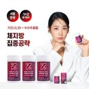 제트라인 | [협찬/소유다이어트]아무도 모르게 관리하는 다이어트 비결 제트헬퍼 나이트번 신규 라인 집중공략 후기