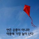 역풍 대 중풍/ 이모티콘 키워드 1위.../ 일당백 아줌마 승!! 이미지