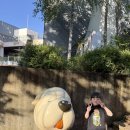 한국근현대사박물관 | 딸과 함께 다녀온 파주 헤이리마을 한국근현대사박물관 후기