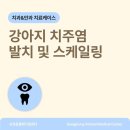 송정동물메디컬센터