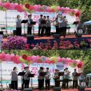 코리아문화예술단 | [4월] SN탤런트예술단 청계산 철쭉제 <찾아가는 버스킹> 현장 스케치 📸