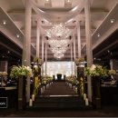 더화이트A 이미지