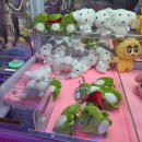 럭키게임랜드 | 포항 시내 인형 뽑기방 <파티 돌> 몰티즈 가나디 쿠로미 주토피아