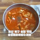 매운수제비 | 울산 북구 송정 맛집 송정매운어탕수제비 내돈내산 오픈런 후기