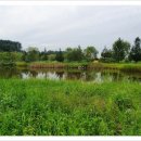 탑메드(주) 이미지