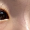 화지7리 네이버블로그