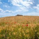 천북농장 이미지