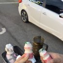 뚱이네착한고기 | 부평공원 애견동반 야장갬성 포차거리 뚱이네포차 내돈내산 냉삼 오징어회 후기