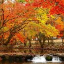 고운나라 이미지