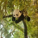 그집국수랑청국장 이미지