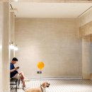 펫라운지(PET LOUNGE) | 홍천 소노펫 비발디파크_대형견 동반 후기