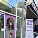 돌리샵 돌봄 네이버블로그