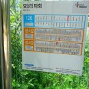 육신사(구) Daum카페