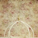 코넬비뇨기과의원 이미지