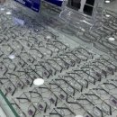 안경마을 처인구점 이미지