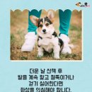 개발바닥 이미지