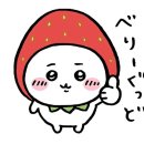 마스터스시 이미지