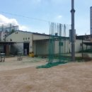 실내야구연습장 이미지