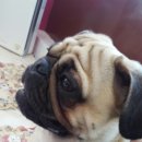 에반스 힐 이미지