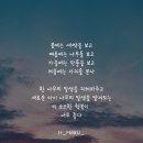 아낌없이 주는 선한 로운님 이미지