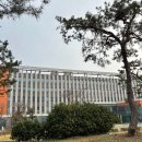 행정용 7번 | [2026 법무부 청년인턴] 서울남부출입국•외국인사무소 최종합격 후기 (서류/면접)