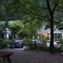 초록수채화 이미지